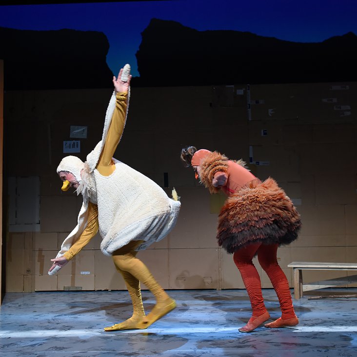 Huhn und Ente auf der Bühne