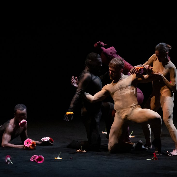 New Earth by Shahar Binyamini