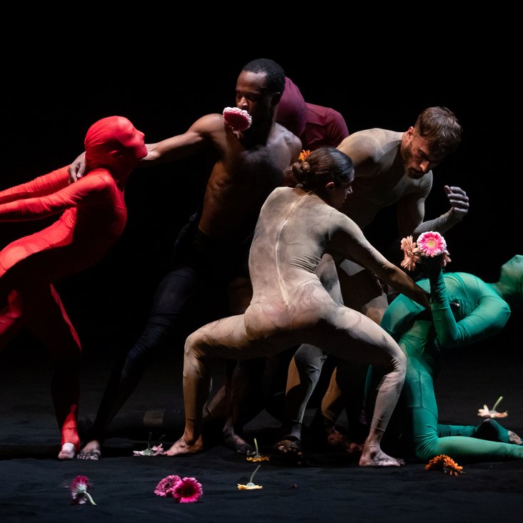 New Earth by Shahar Binyamini