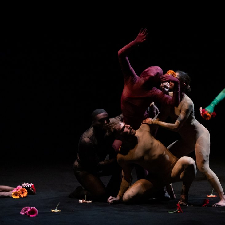 New Earth by Shahar Binyamini