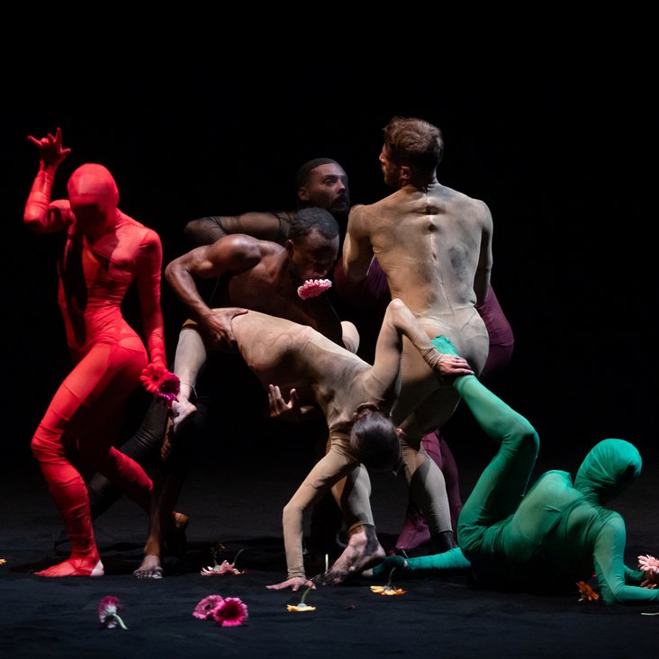 New Earth by Shahar Binyamini