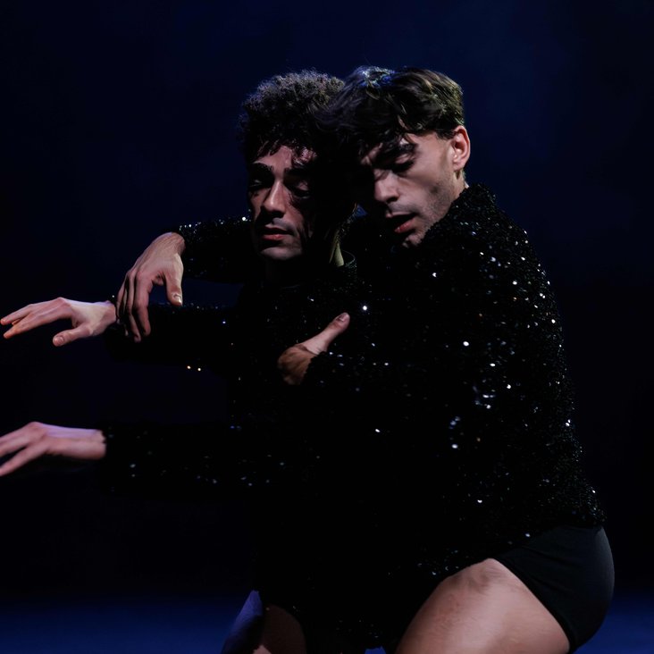 Tänzer:innen in Kostüm auf der Bühne, der Boden ist schwarz und die Bühne ist professionell ausgeleuchtet.