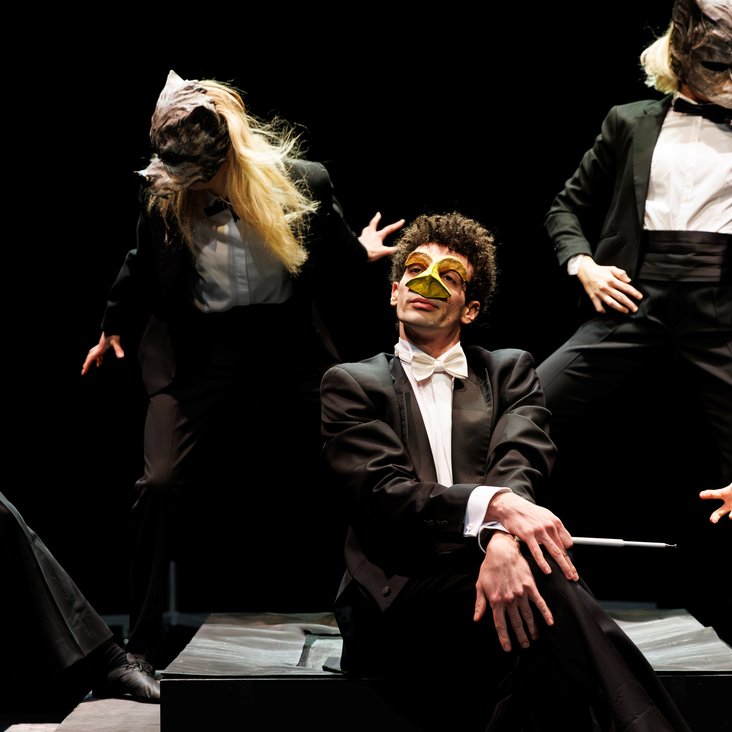 Tänzer:innen in Kostüm auf der Bühne, der Boden ist schwarz und die Bühne ist professionell ausgeleuchtet.