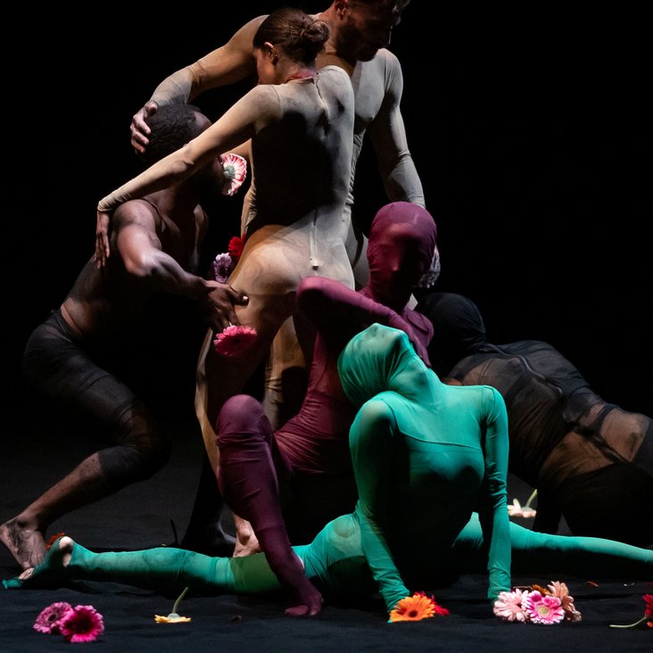 New Earth by Shahar Binyamini