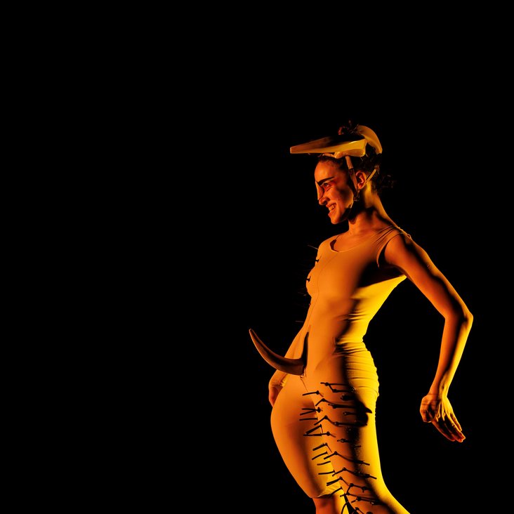 Tänzerin in Kostüm auf der Bühne, der Boden ist schwarz und die Bühne ist professionell ausgeleuchtet.