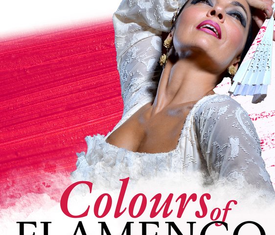 Colours of Flamenco