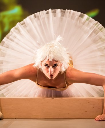 Gauthier Dance in Marie Chouinard's Choreographie für "Swan Lakes"