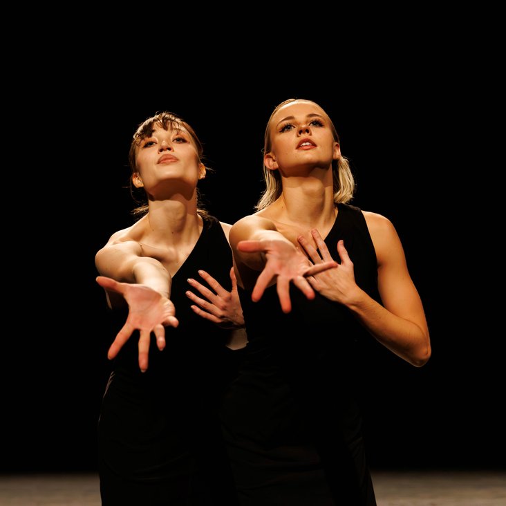 Tänzer:innen in Kostüm auf der Bühne, die Bühne ist professionell ausgeleuchtet.