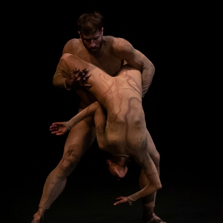 New Earth by Shahar Binyamini